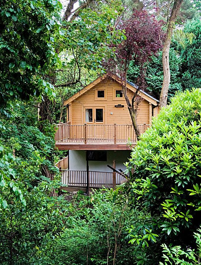 فيلا بورنماوثفي Alum Chine Log Cabin المظهر الخارجي الصورة
